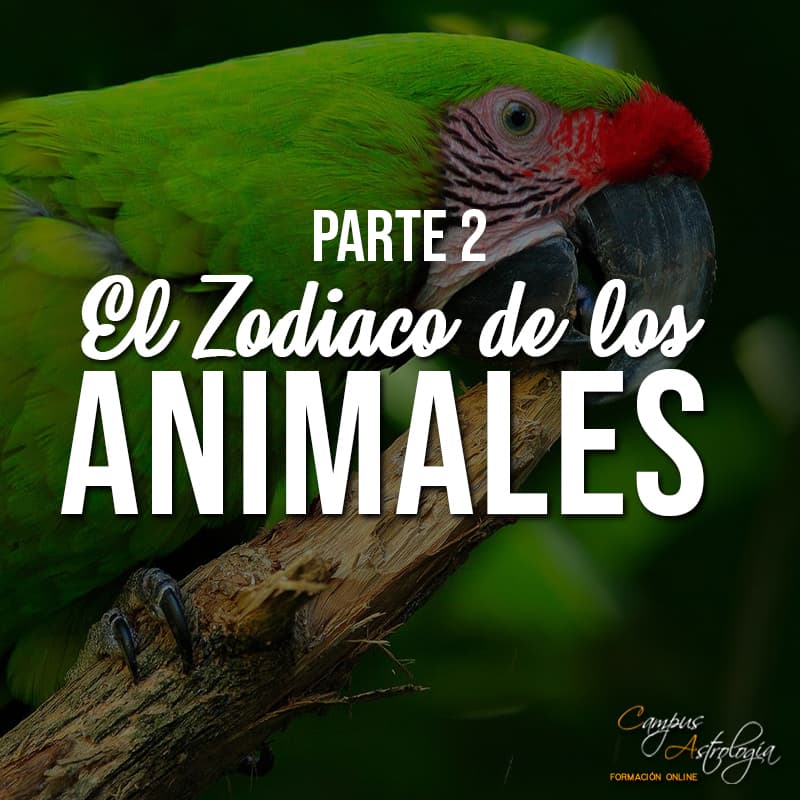 El Zodiaco de Los Animales [Parte II]