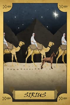 Sirius, la Estrella Fija más Brillante del Cielo