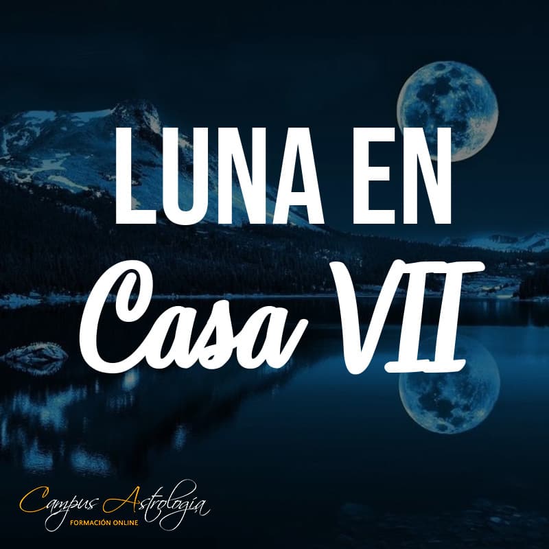 Luna en Casa 7: "Mi pareja tiene la Culpa"