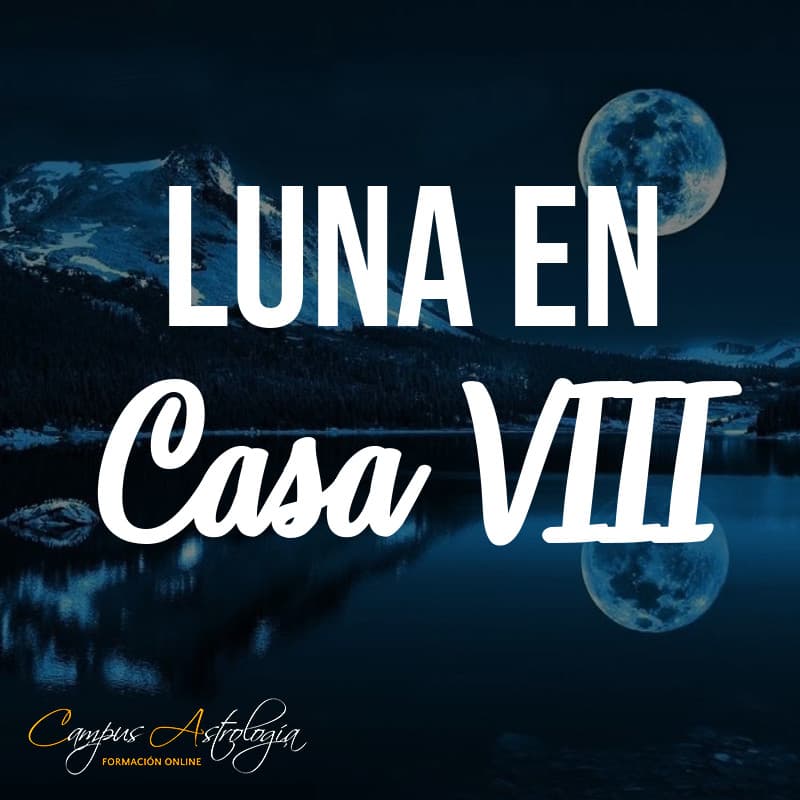 Luna en Casa 8: La Seguridad no existe