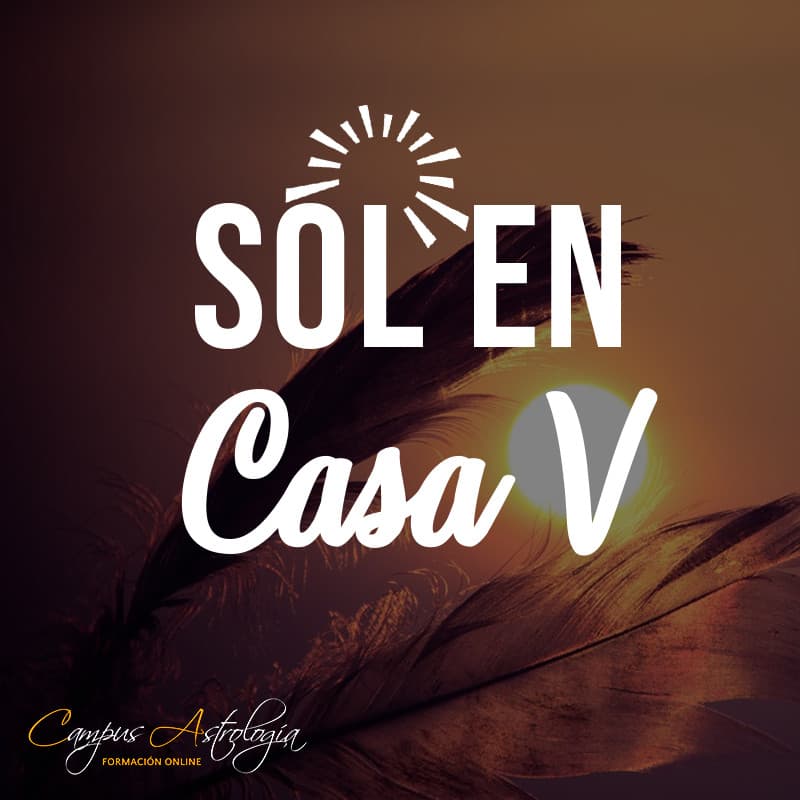 Sol en casa 5: La Vida es un Juego