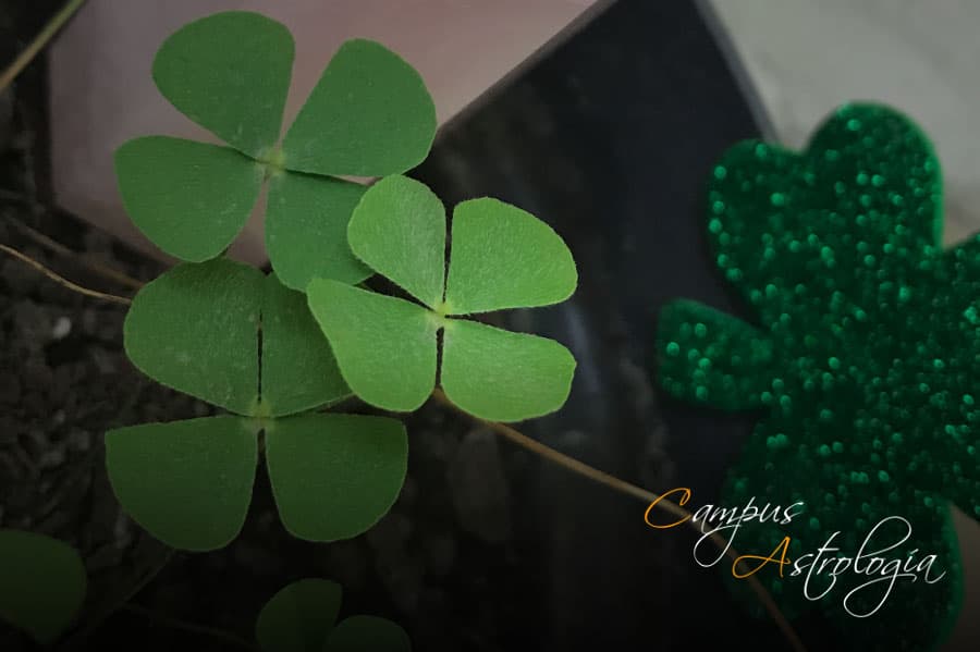 ¡¿Cómo iba a imaginar que el Trébol 🍀 me cambiaría la vida!?