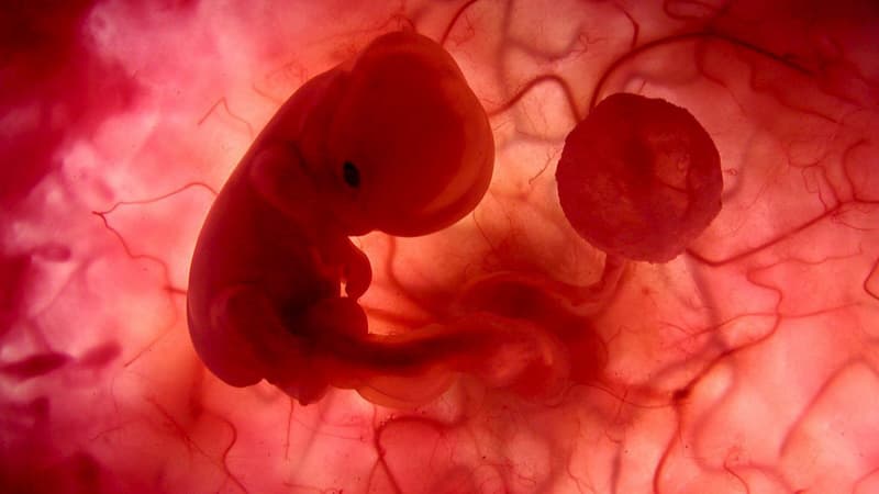 Luna Llena en Cáncer